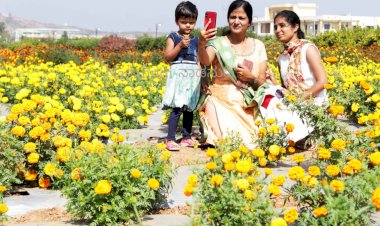 ಹಣ್ಣು, ಹೂವಿನ‌ ಕಲಾಕೃತಿಯಲ್ಲೂ ಕೋವಿಡ್ ವಾರಿಯರ್ಸ್ ಗಳಿಗೆ ಗೌರವ: ತೋಟಗಾರಿಕೆ‌ ಮೇಳ ಚಿತ್ತಾಕರ್ಷಕ