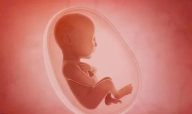 ಗರ್ಭಪಾತ ದಂಧೆಗೆ ಮಹಿಳೆ ಬಲಿ: ಆಯಾ ಸೇರಿ ಮೂವರ ಬಂಧನ..!